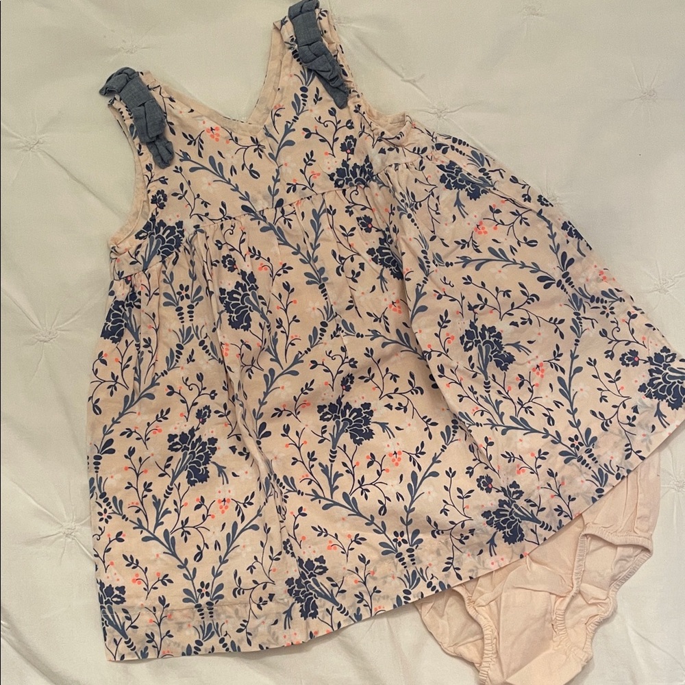 12-18m GAP Kids Floral Dress Matching Set - Blue and Pink